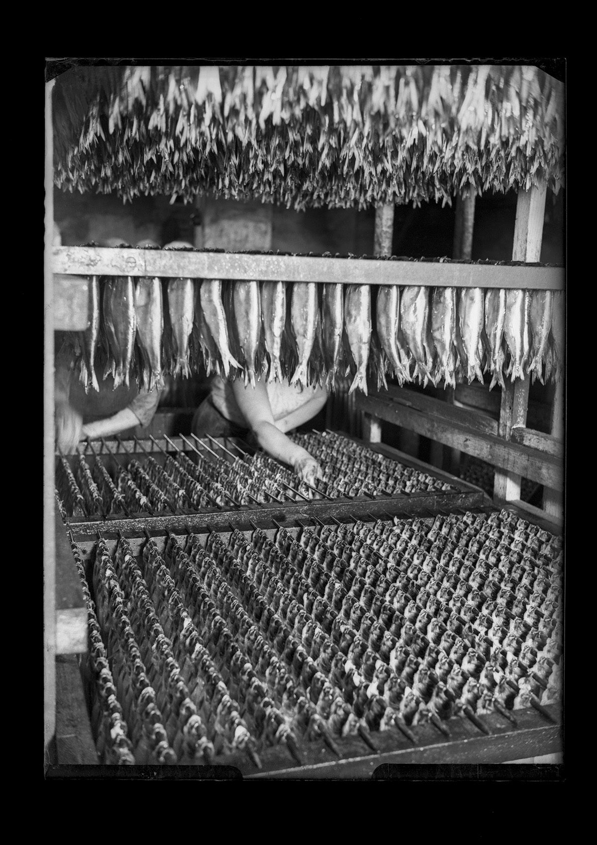 Fide Struck, Hamburg, Fischräucherei, Räucherofen, Bücklinge, um 1932