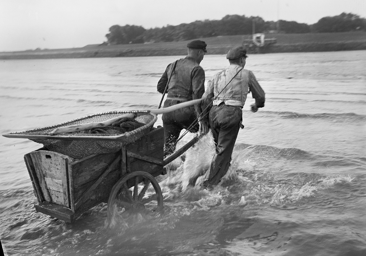 Fide Struck, Nordsee, Wattenmeer, zwei Krabbenfischer ziehen Karre an Land, um 1932