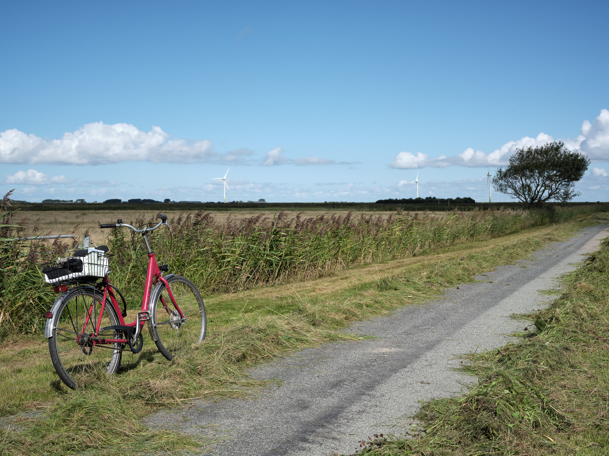 Susan Sidebottom, 23 Miles of Adventure, Föhr, 2025