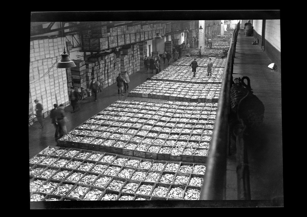 Fide Struck, Hamburg Altona, Fischkisten