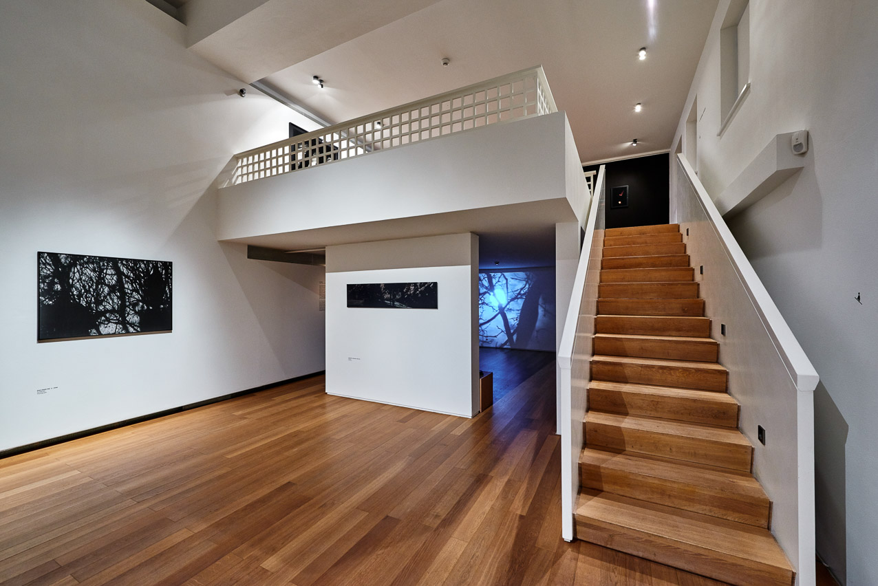 Nan Hoover - Ausstellungsansicht II