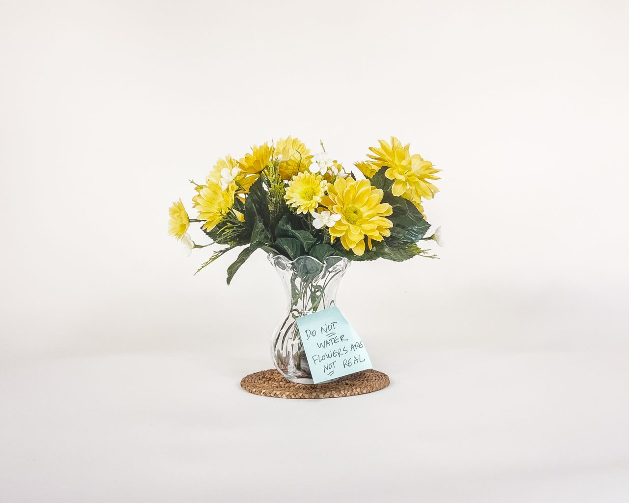 Susan Sidebottom, Do Not Water, aus der Serie "As If Nothing Is Wrong", 2024