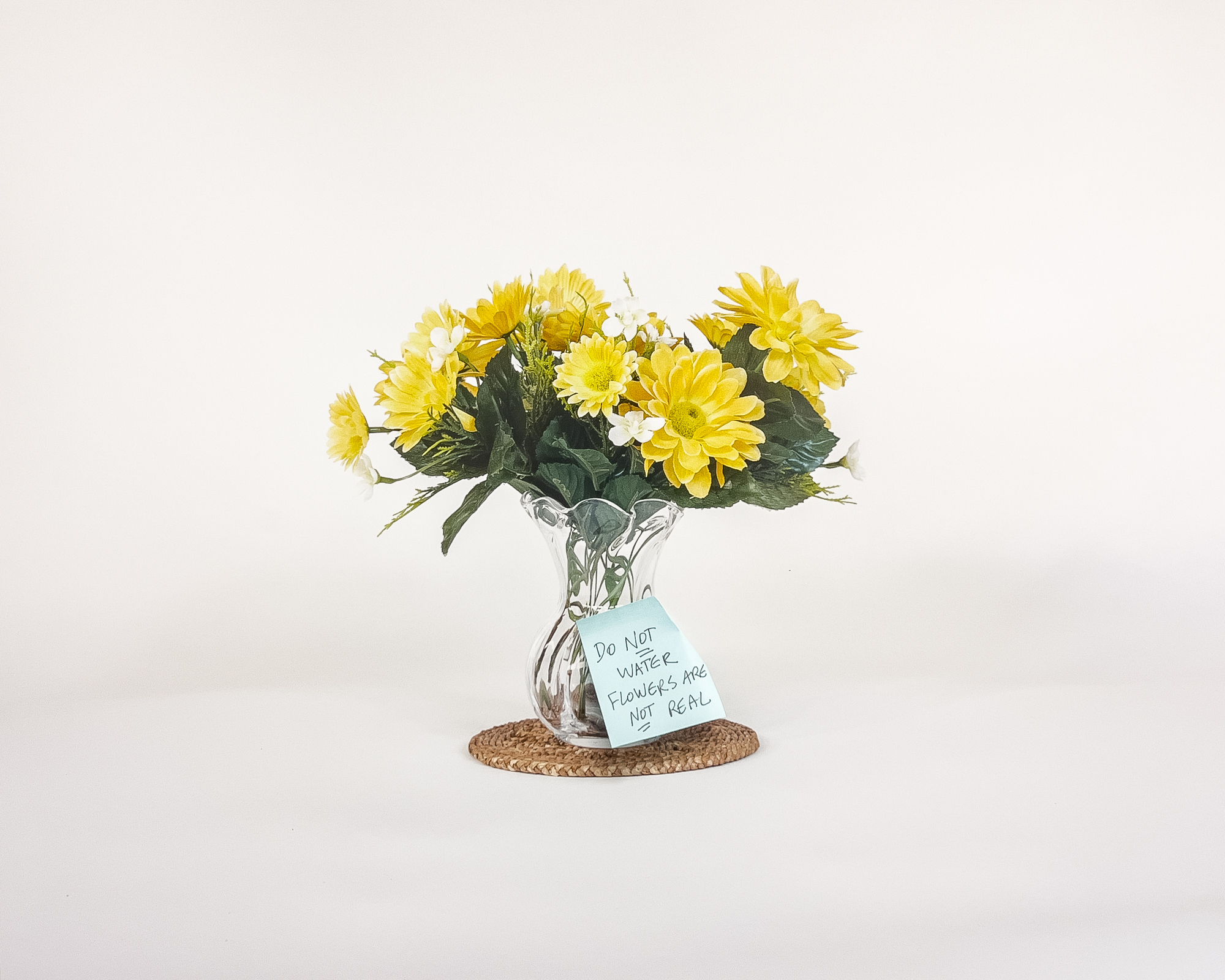 Susan Sidebottom, Do Not Water, aus der Serie "As If Nothing Is Wrong", 2024
