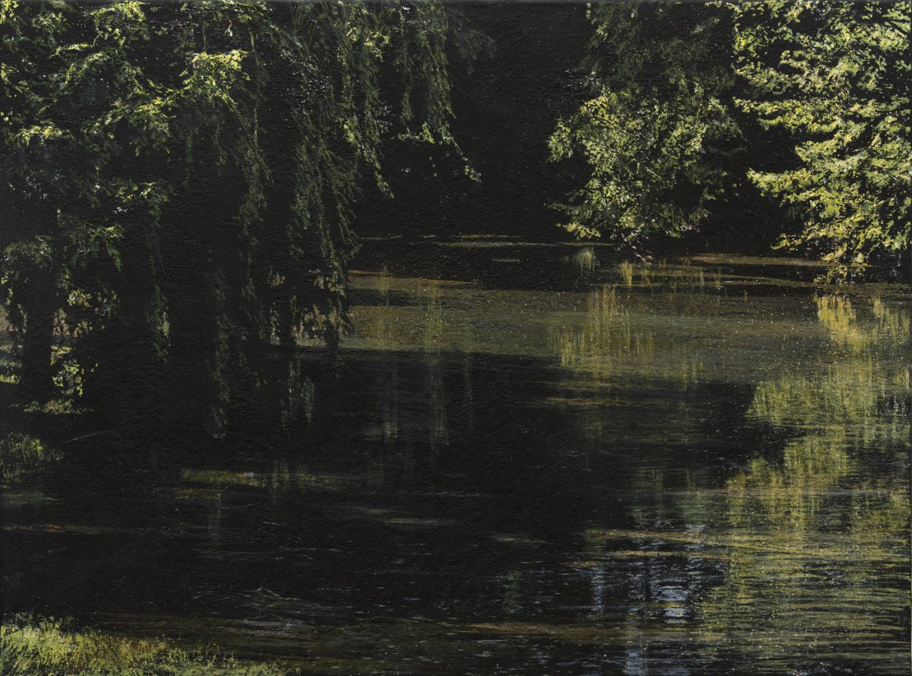 Jochen Hein - Teich I