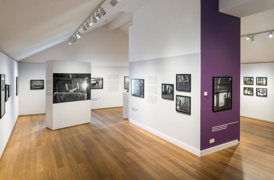 Ausstellung Fide Struck