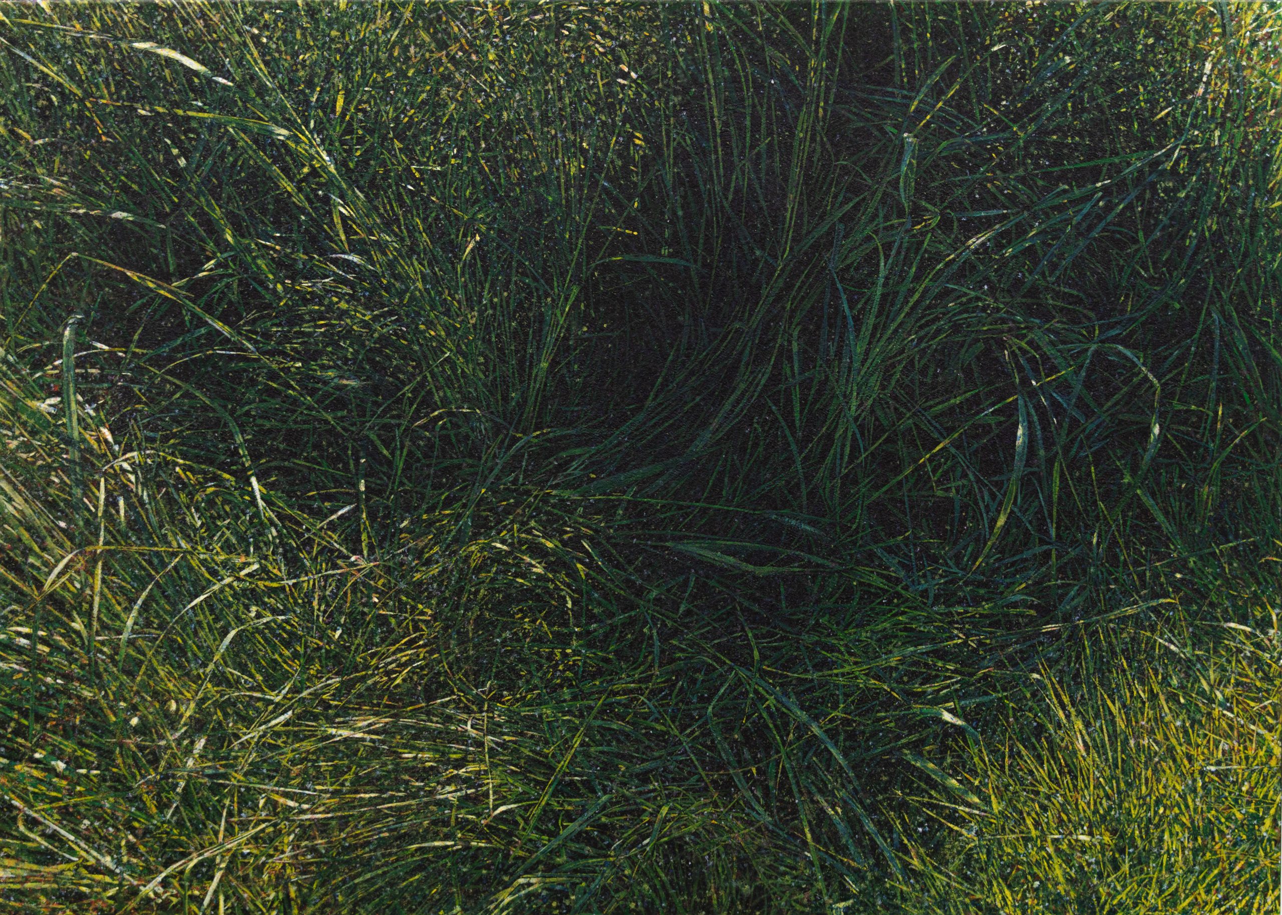 Jochen Hein, Gras, 2024