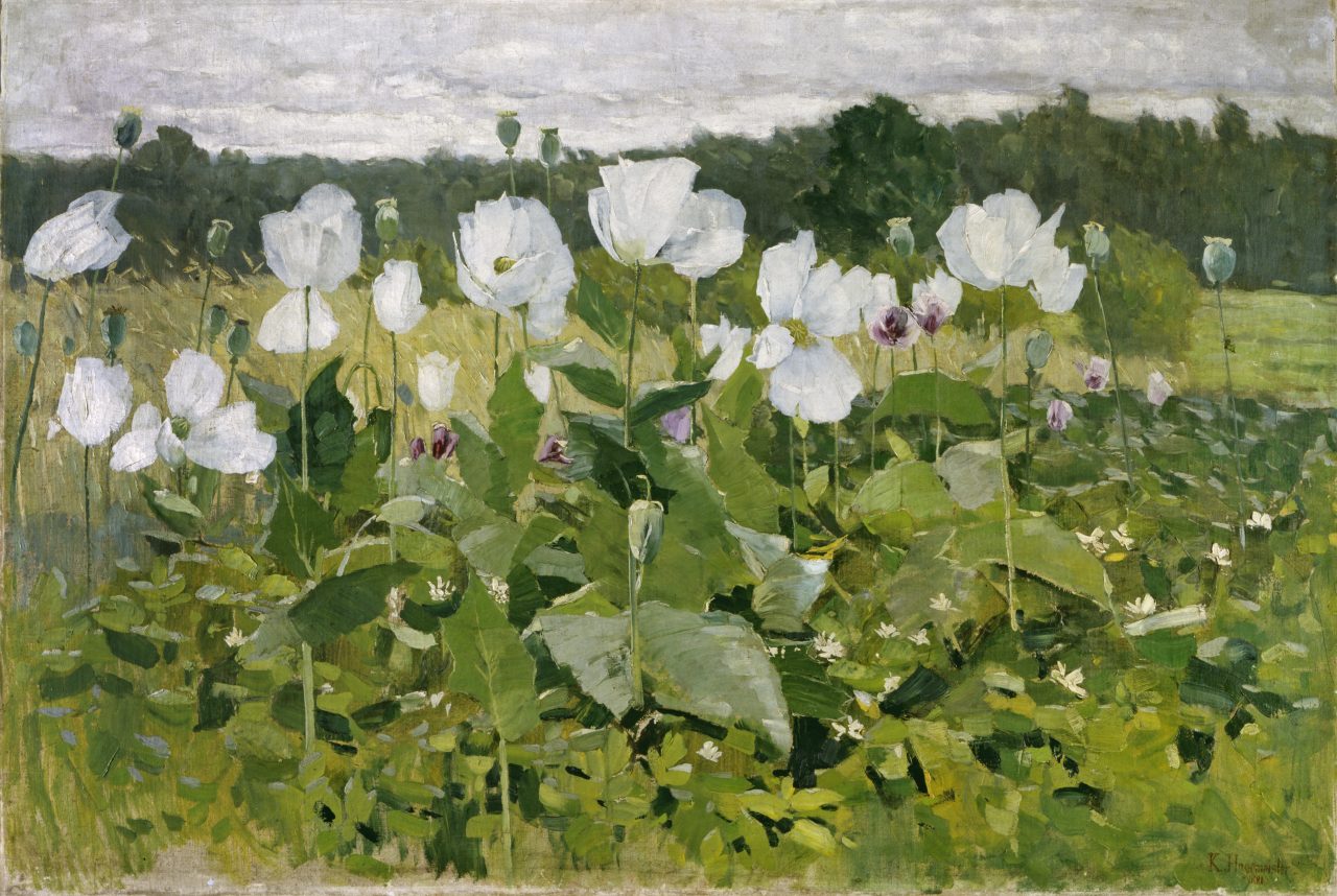 Weißer Mohn, Impressionismus im Norden