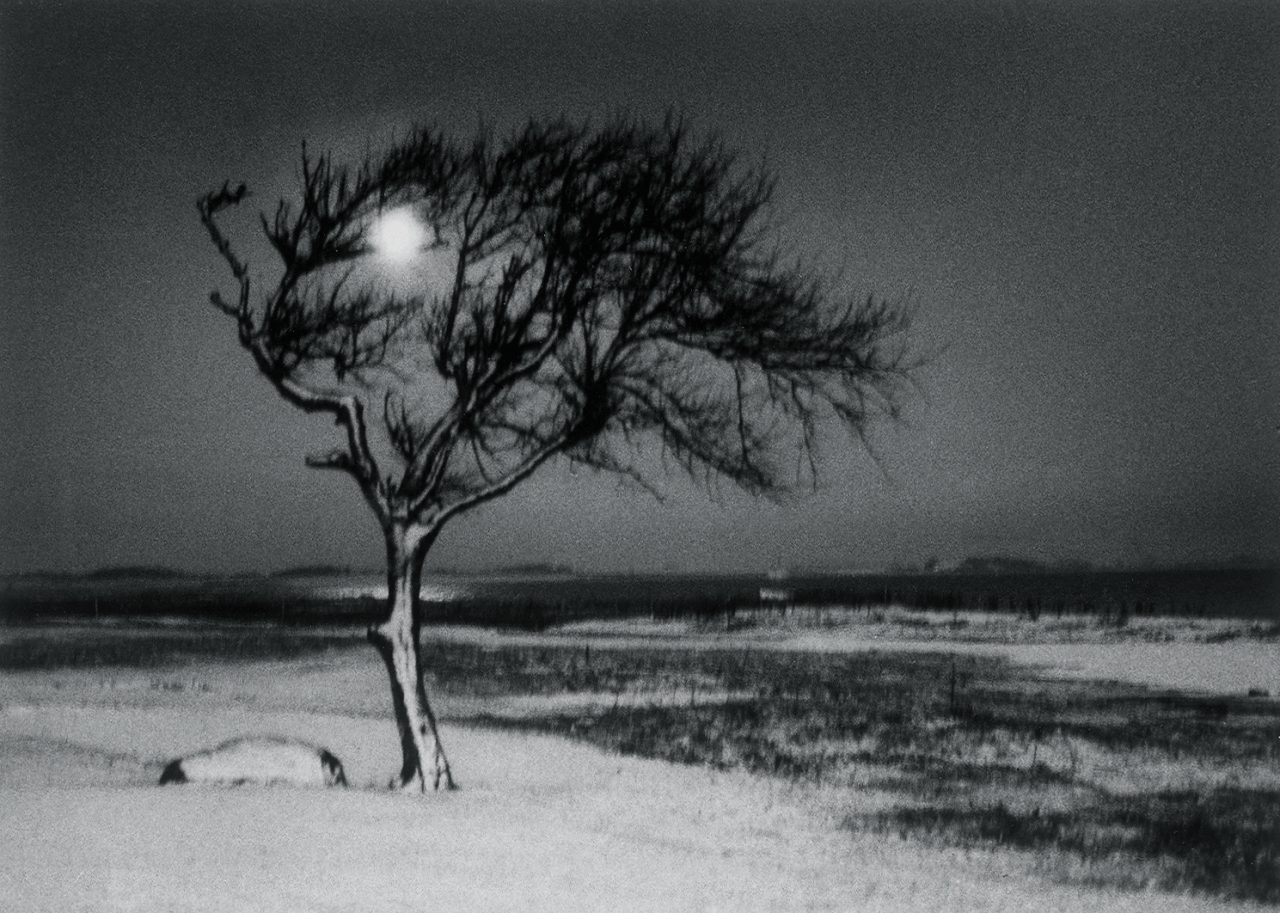 Kirsten Klein - Wintermond