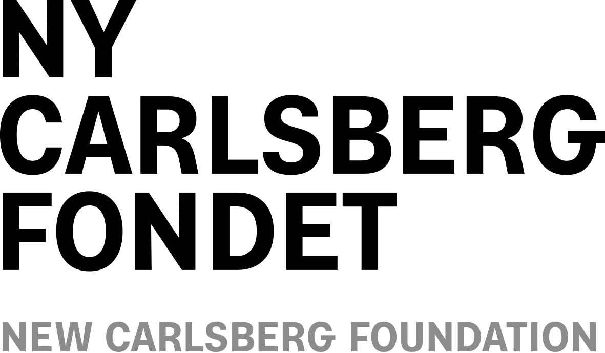 Ny Carlsbergfondet