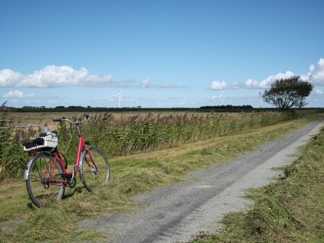 Ein rotes Fahrrad mit Korb steht auf einem Grasstreifen neben einem Feldweg, im Hintergrund Windräder und ein Baum