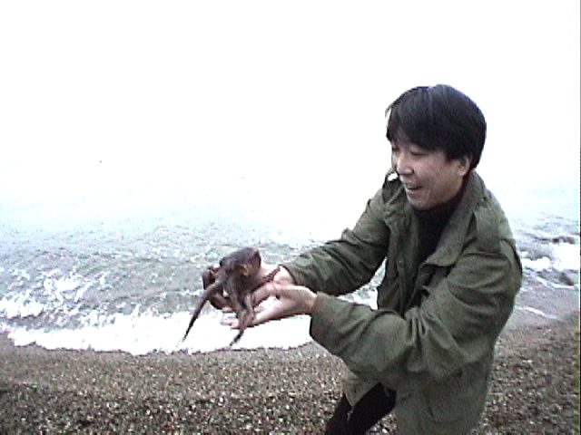 Shimabuku Theni, Decided to give a tour of tokyo to the octopus from akashi